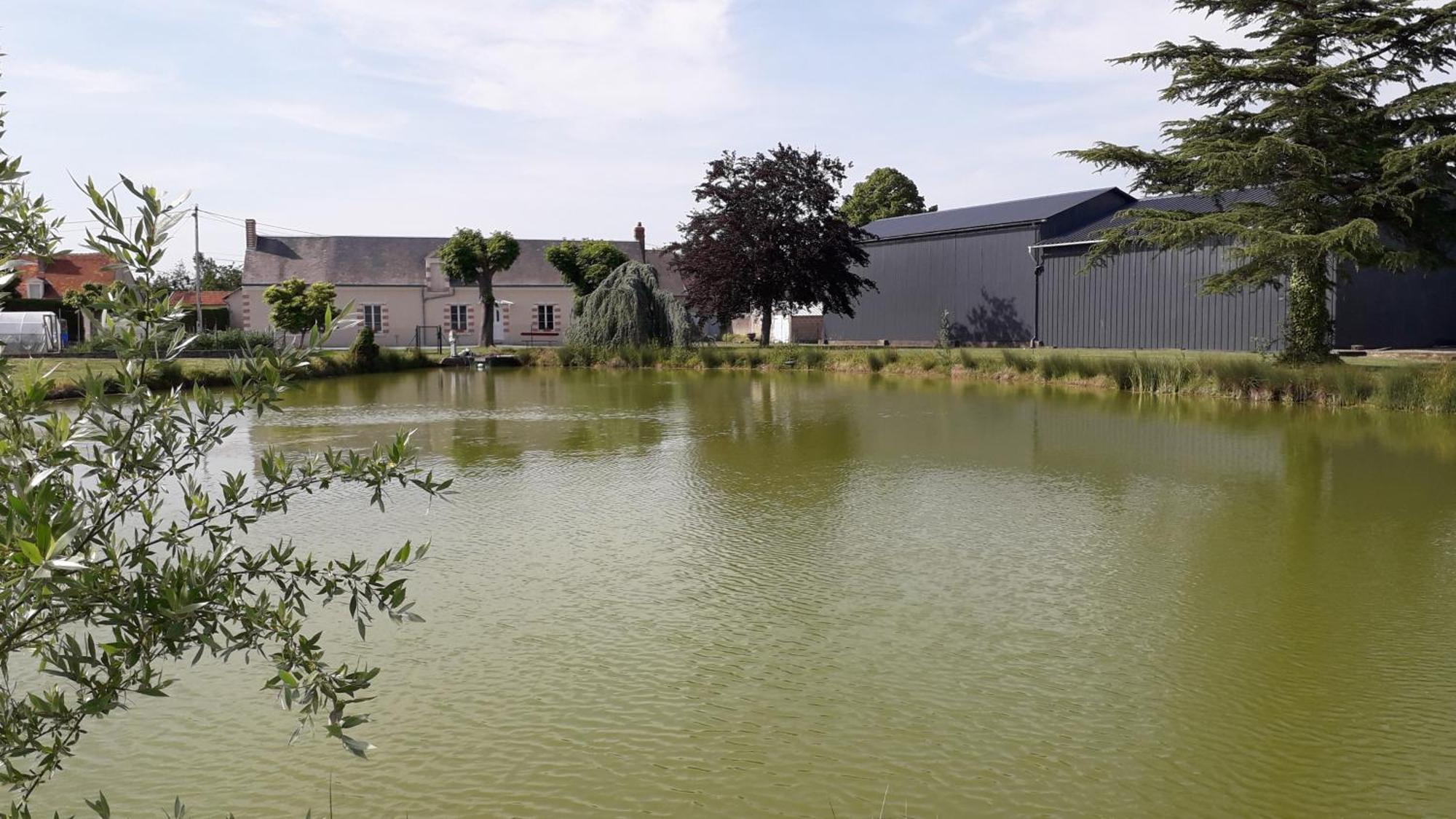 Les Guernazelles Holiday home Mosnes